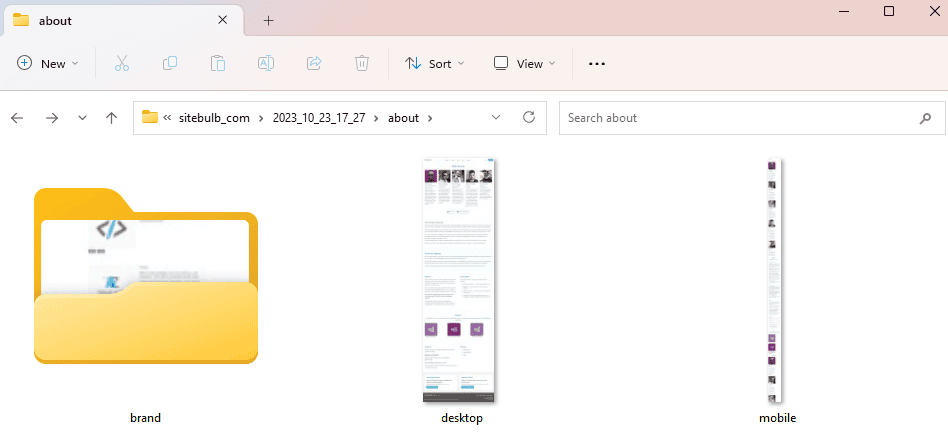 Screenshots folder structure
