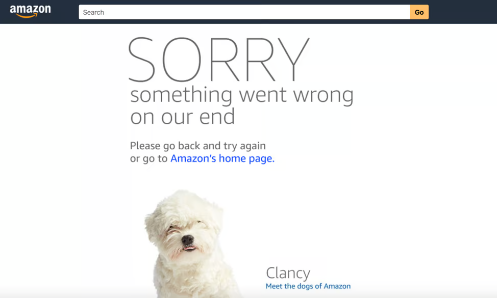 A screenshot of Amazon