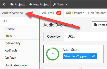 audit overview - Sitebulb screenshot