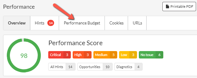 Performance Budget tab