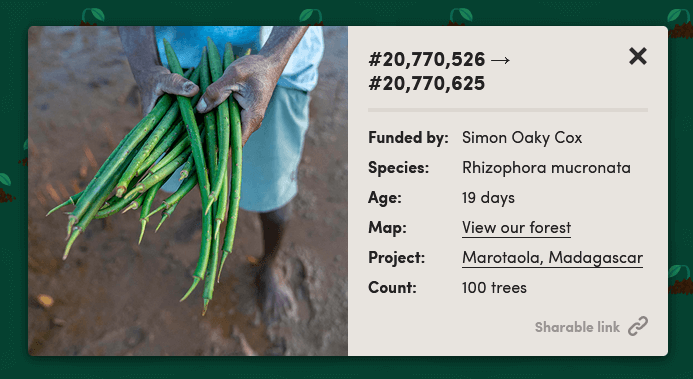 Simon Cox gift trees