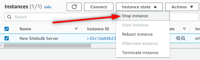 Stop AWS instance