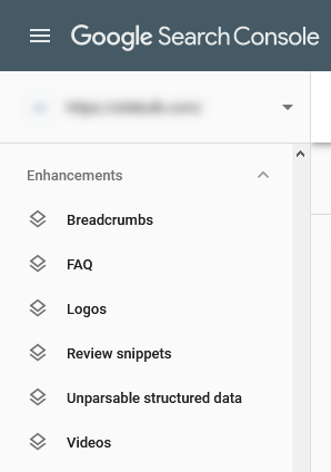 Google structured data section screenshot