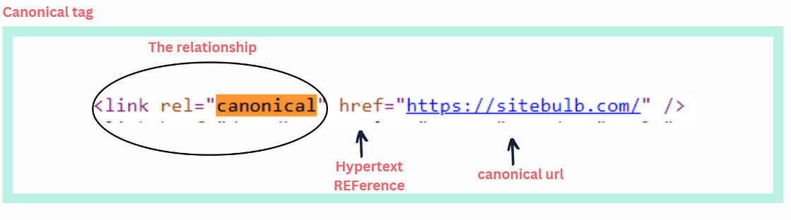 HTML structure of a canonical tag