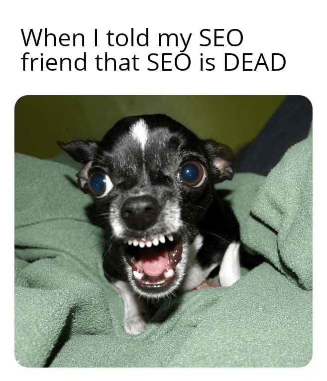 when I told my SEO friend that SEO is dead angry dog meme