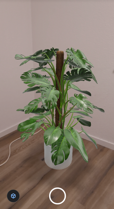 A 3D Model of a plant in the corner of a room