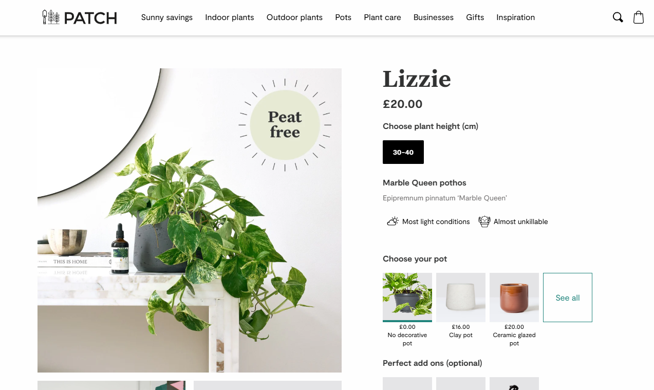 A PDP screenshot showing a picture of a Marble Queen pothos on the left, the title, "Lizzie", on the right. Also visible are the price, plant height and pot options.
