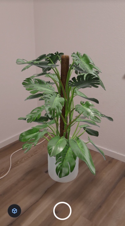 A 3D model of a monstera plant projected into an office corner.
