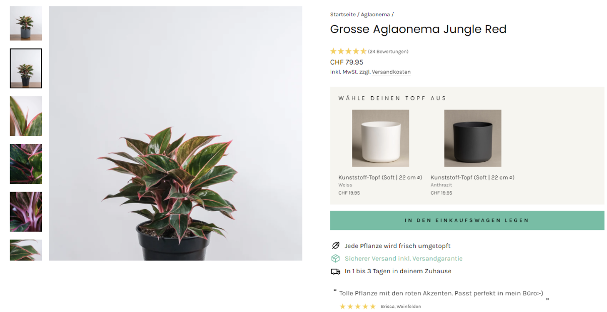 A PDP with plant pictures on the left and product details on the right, including a breadcrumb, title, reviews, price, shipping information, pot options, a CTA and USPs.