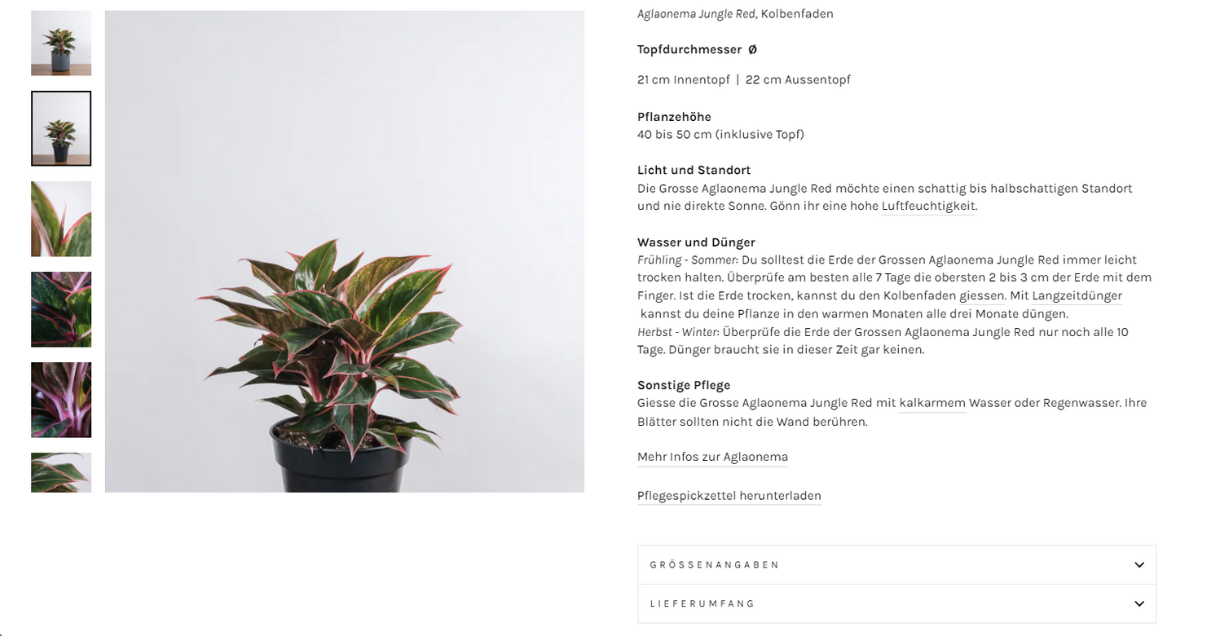 A PDP with plant pictures on the left and detailed product information on the right, including size of plant and pot as well as lighting conditions, watering and fertilizing as well as other plant care.