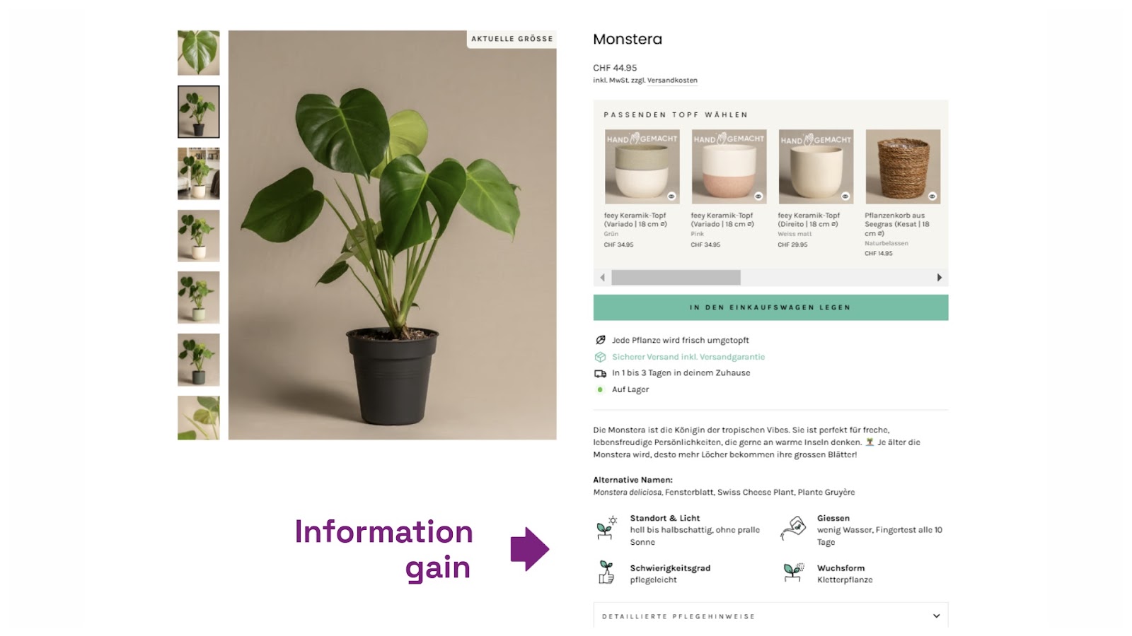 A PDP of a monstera plant with a few care instructions, highlighted with icons, which is stated to be "information gain".