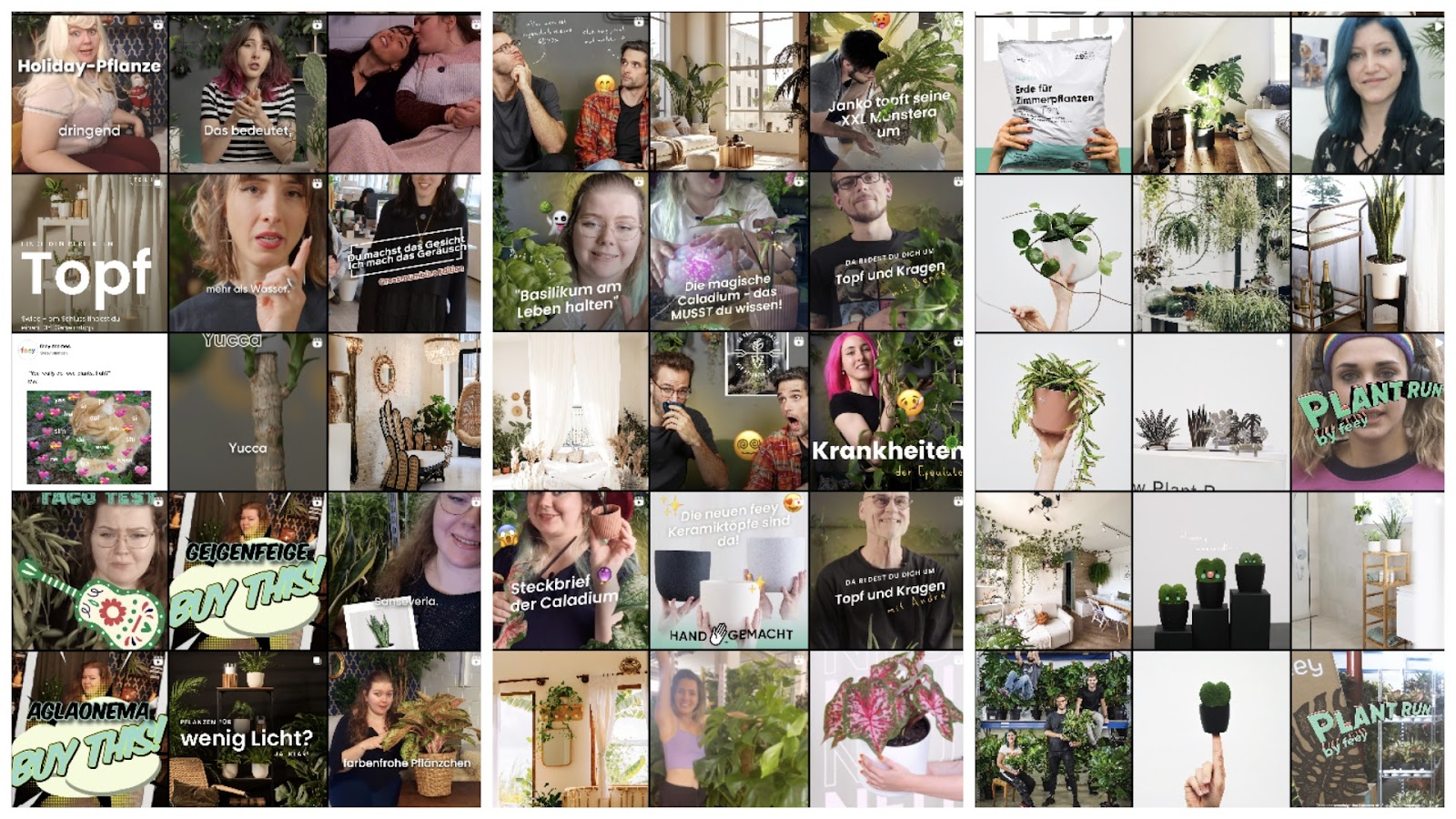 An instagram feed, showing many plants, but also people holding and talking about those plants or just entertaining.